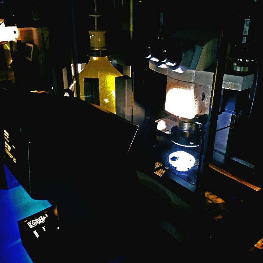 Picture in Micropia