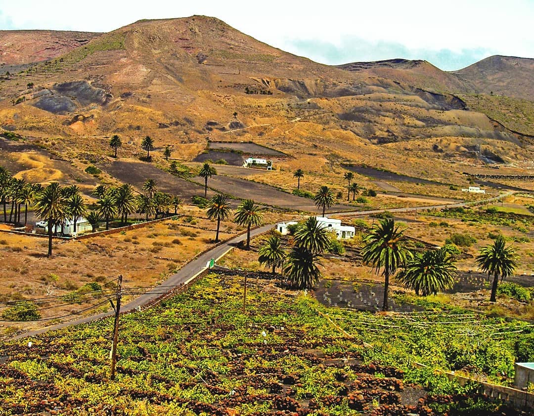 Picture in Lanzarote