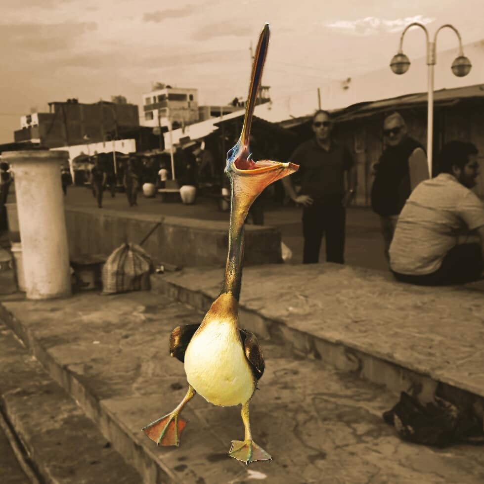 Picture in Paracas