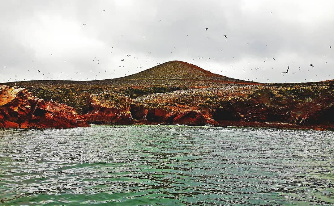 Picture in Islas Ballestas