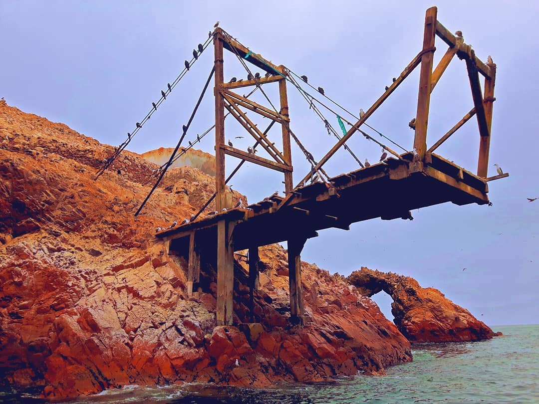 Picture in Islas Ballestas