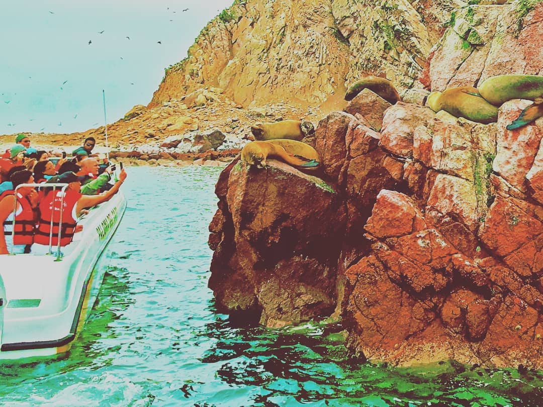Picture in Islas Ballestas