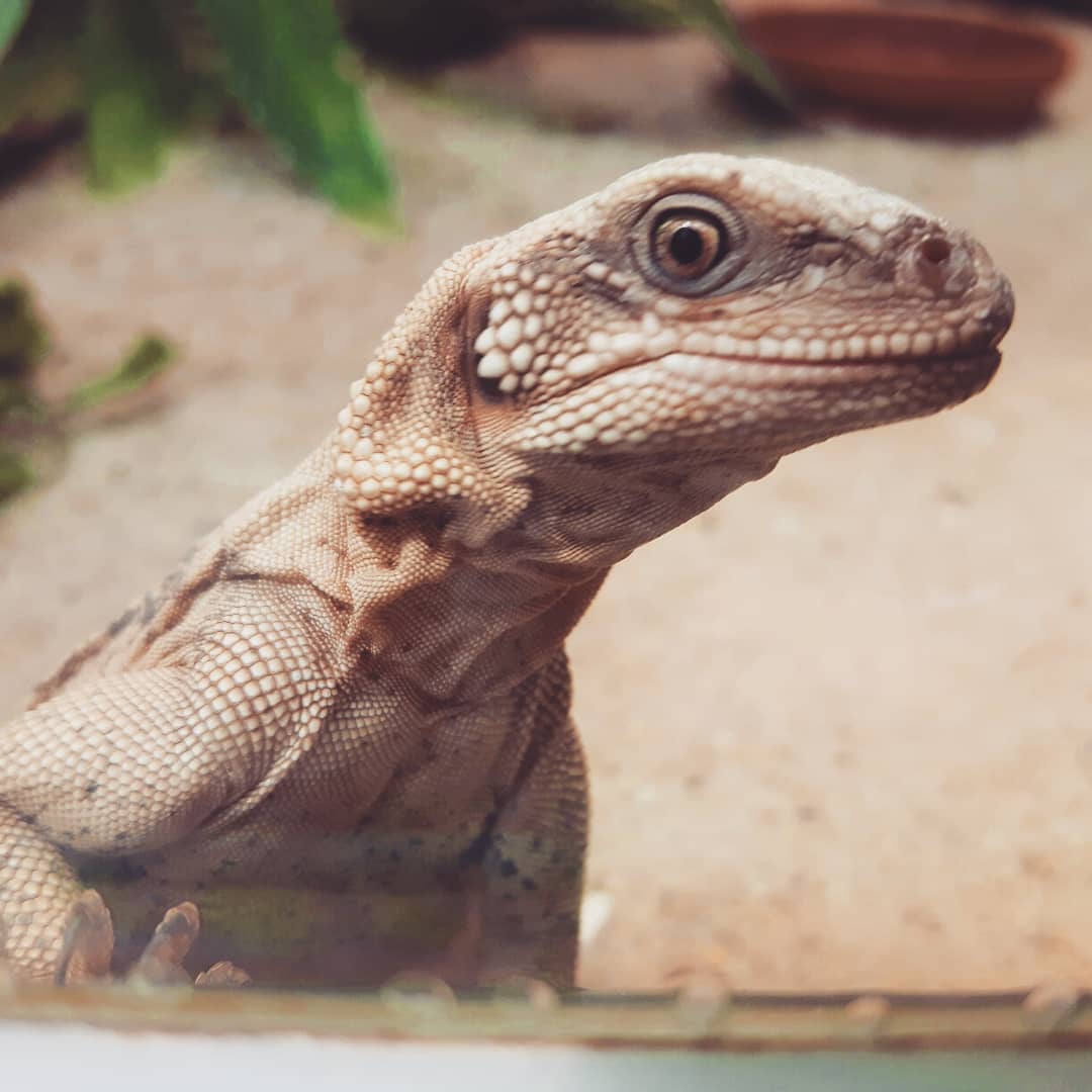 Picture in Zoo Frankfurt