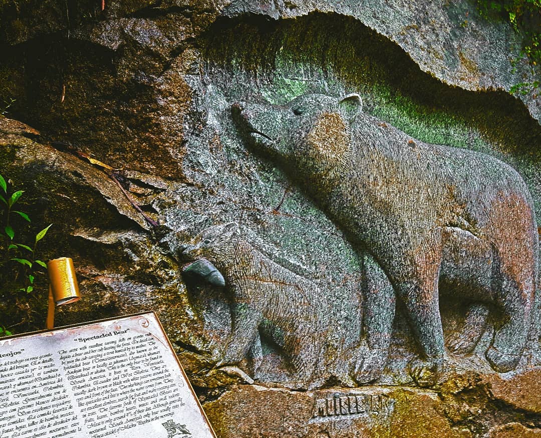 Picture in Aguas Calientes