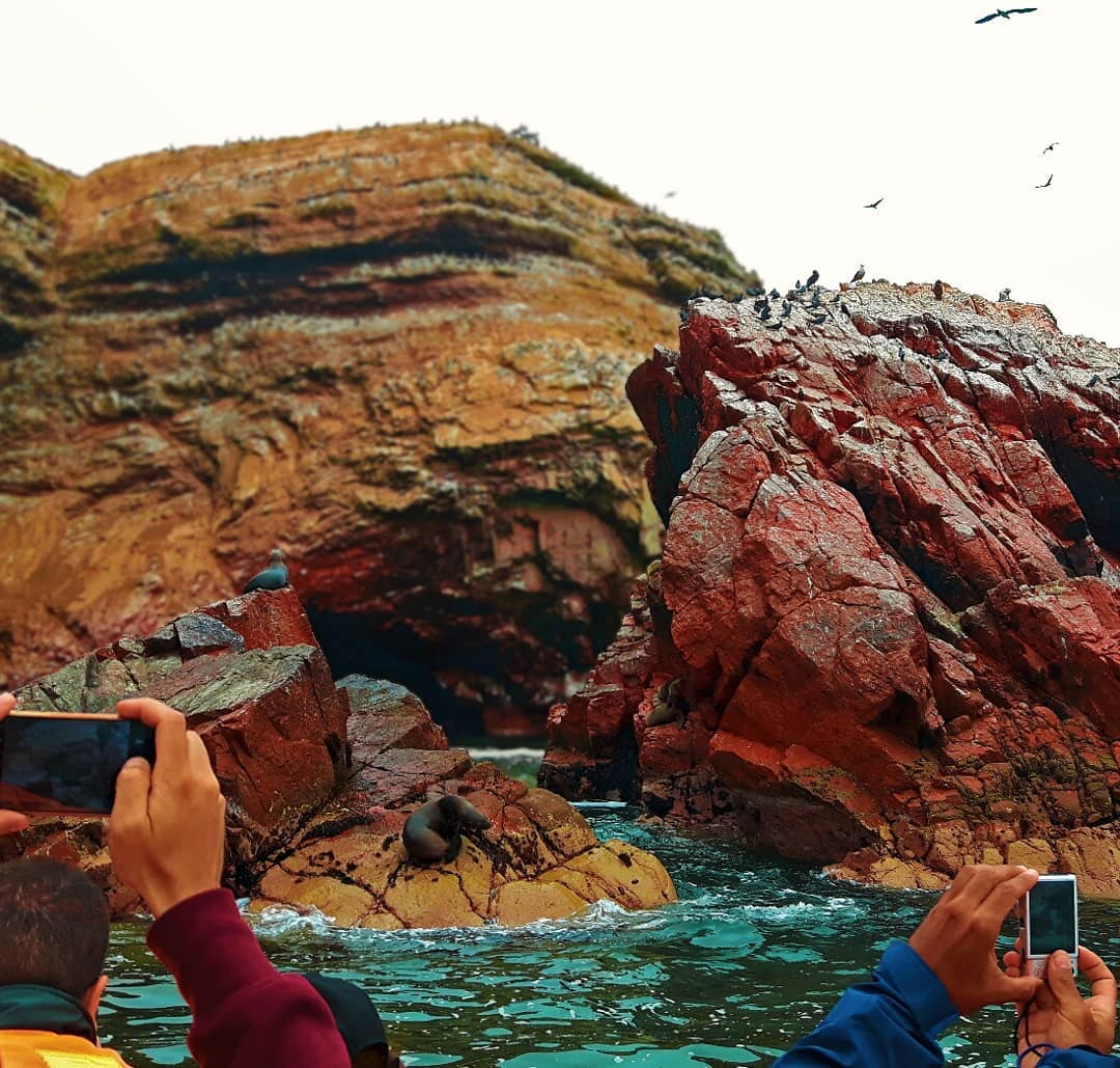 Picture in Islas Ballestas