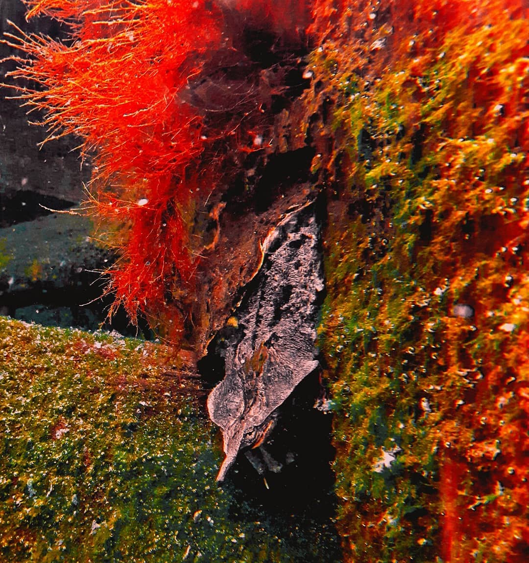 Picture in Zoo Frankfurt