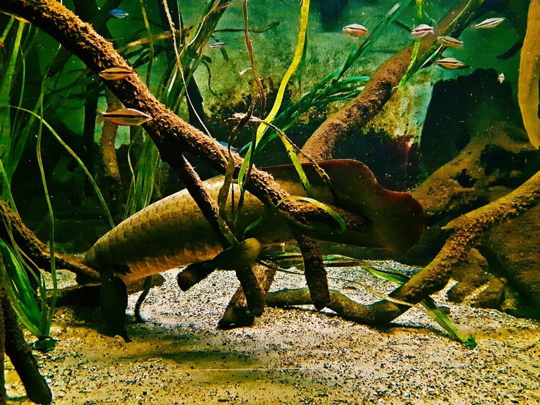 Picture in Zoo Frankfurt