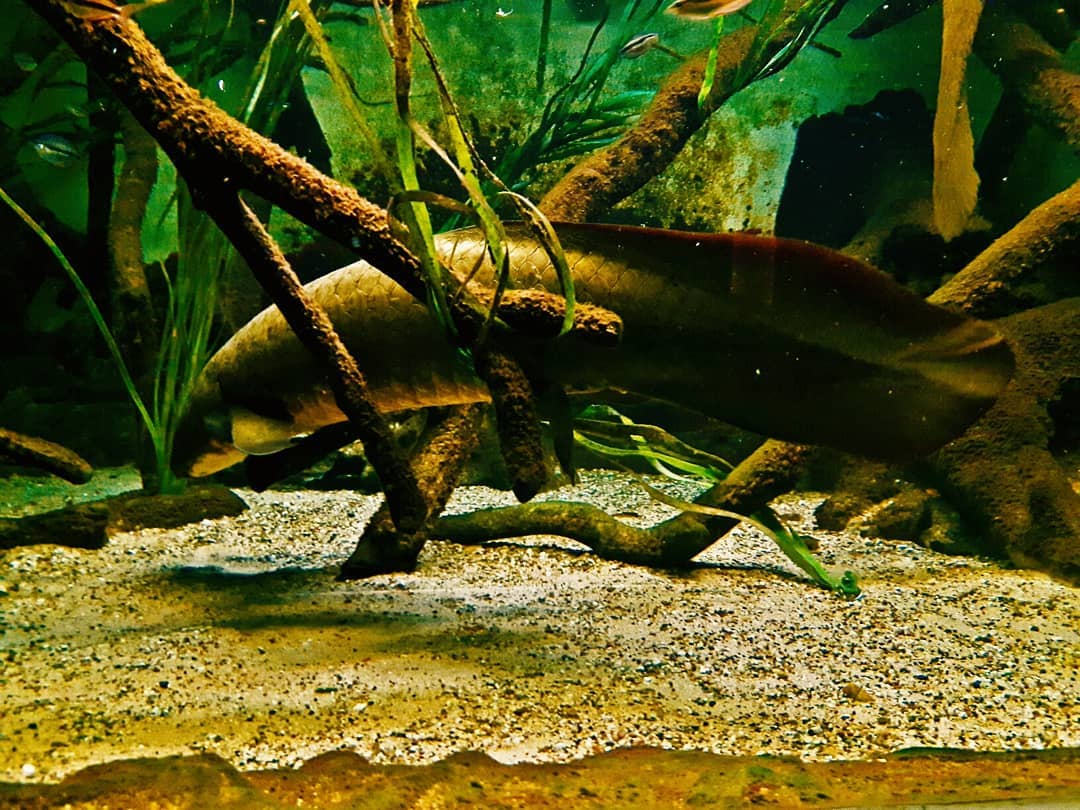 Picture in Zoo Frankfurt