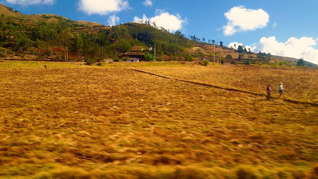 Picture in Curahuasi