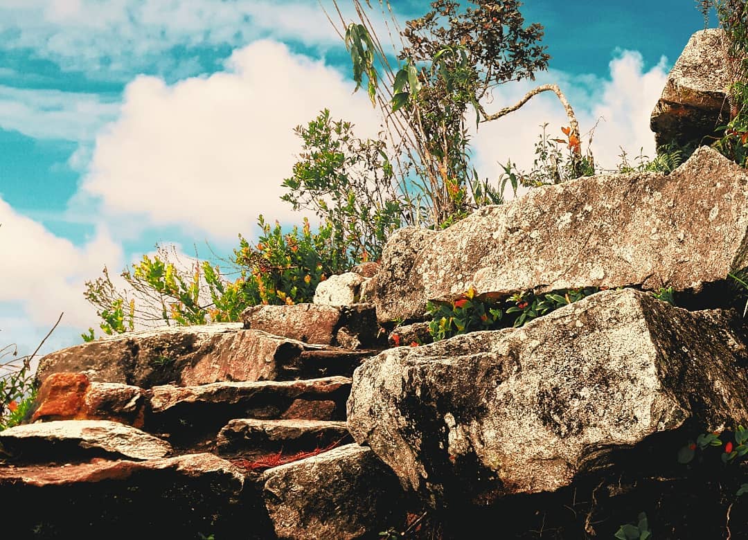 Picture in Machu Picchu