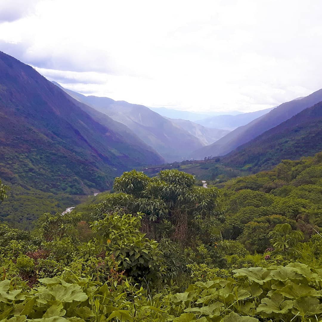 Picture in Cusco Region