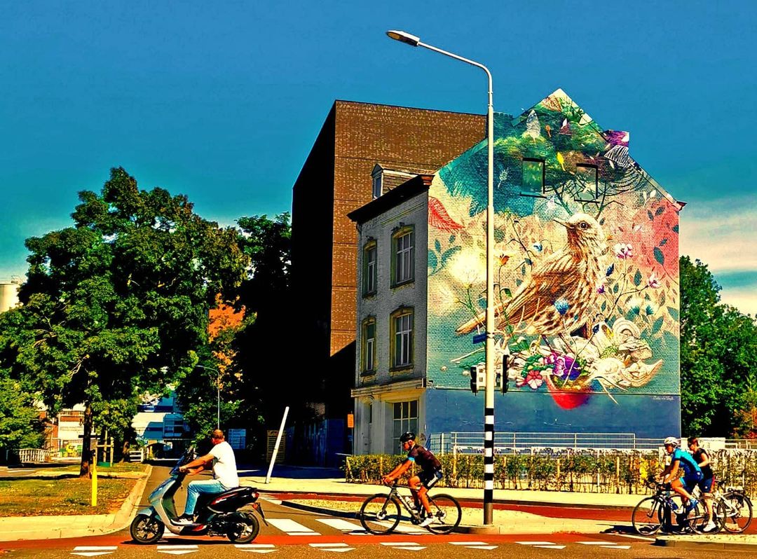 Picture in Maastricht