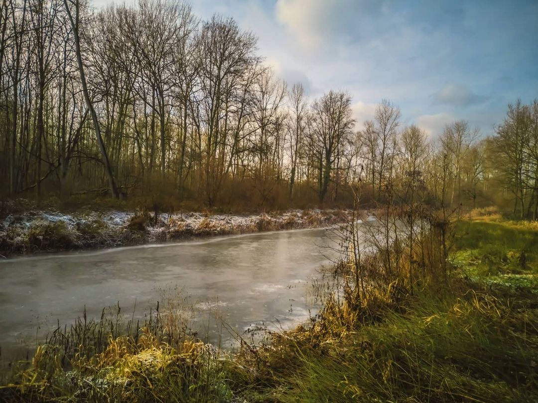 Picture in Kessel