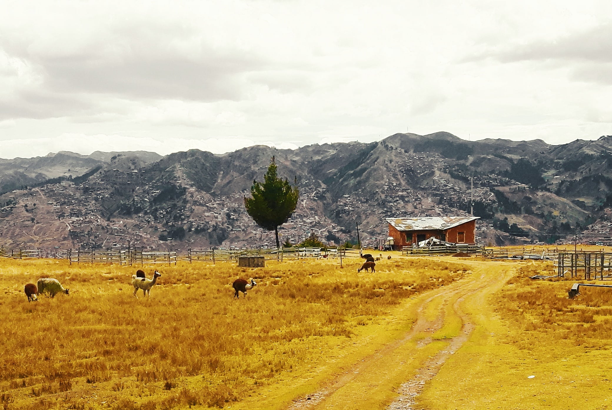 Picture in Cusco