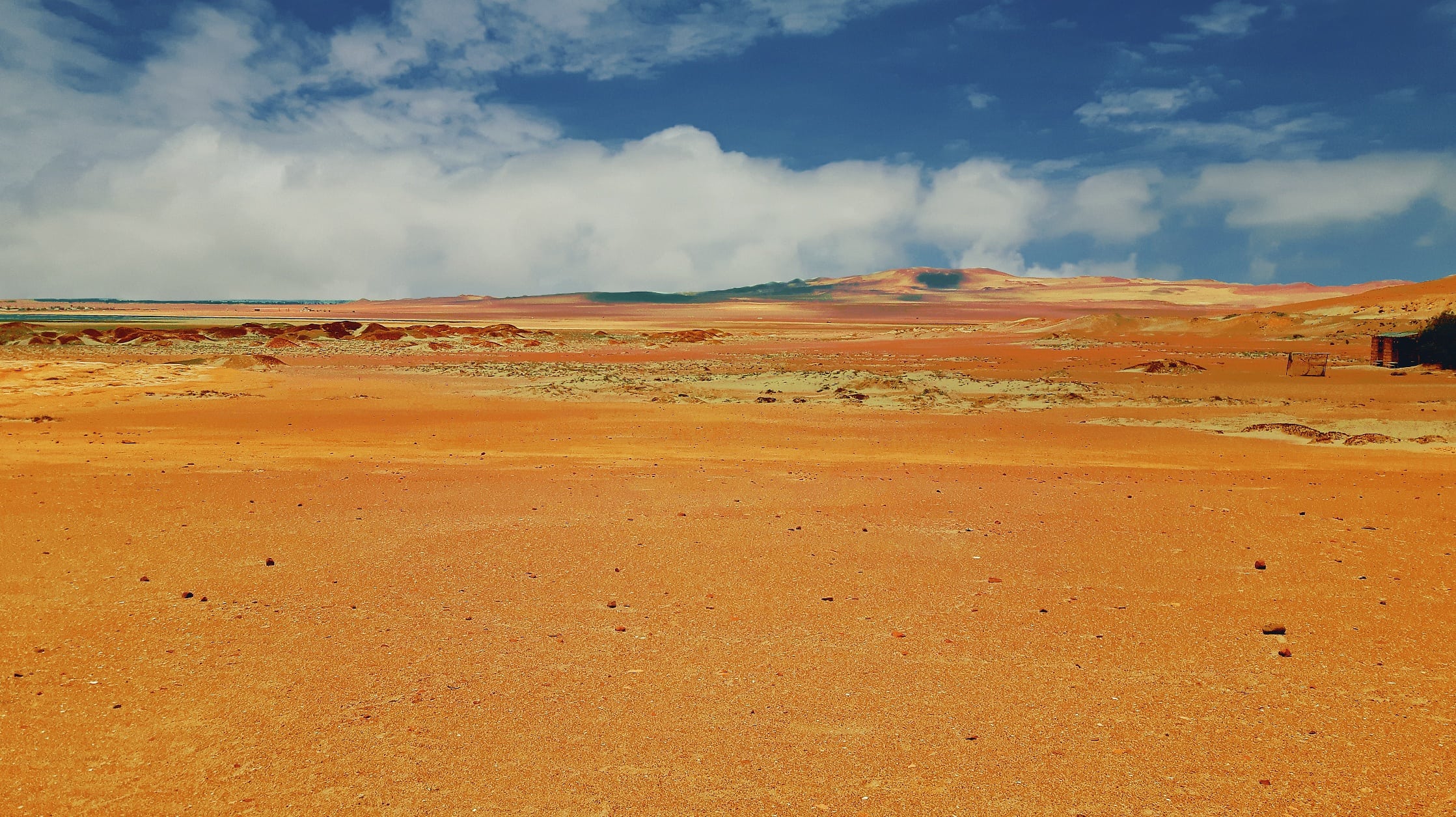 Picture in Nationalreservat Paracas