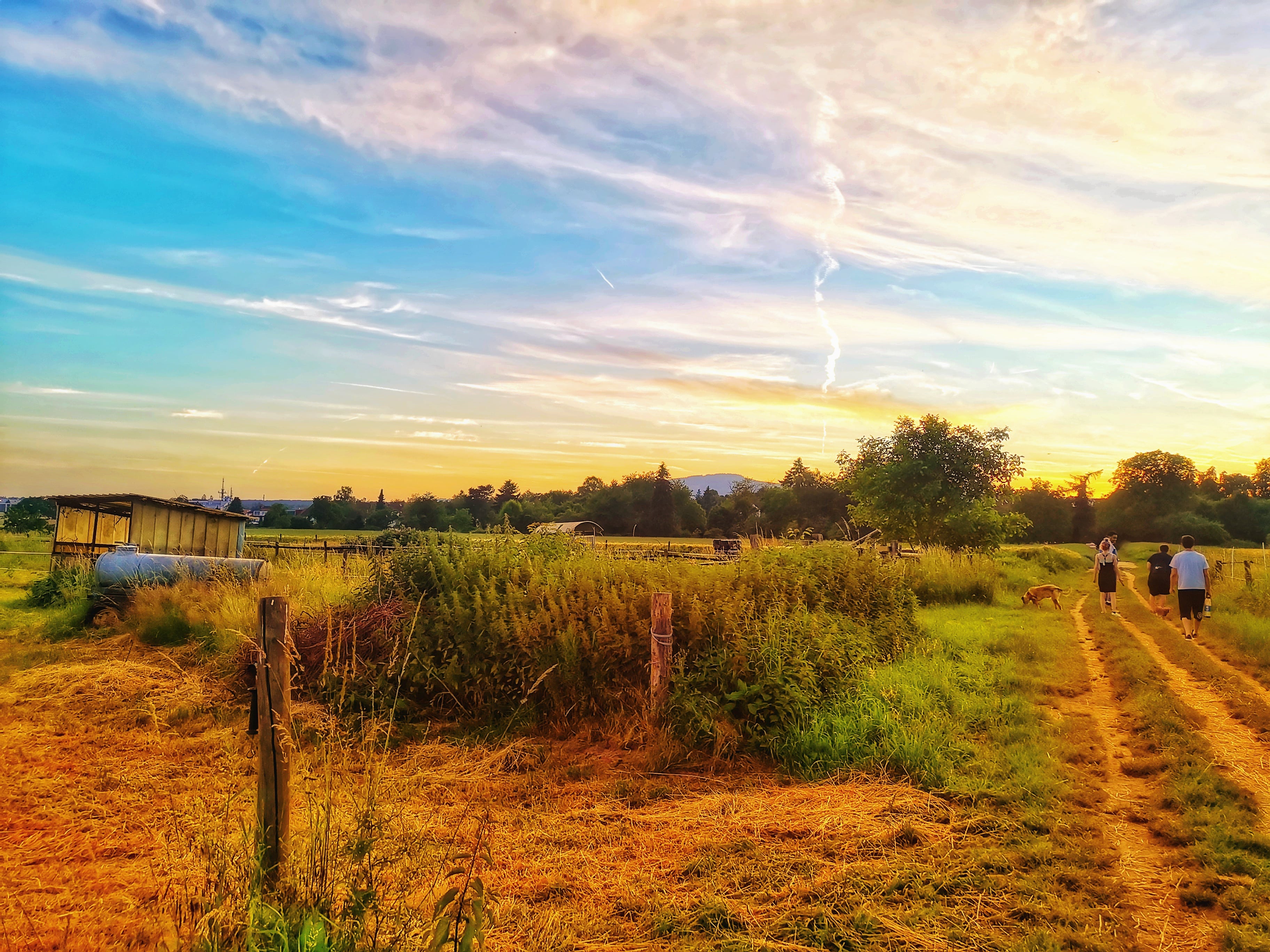 Picture in Bommersheim