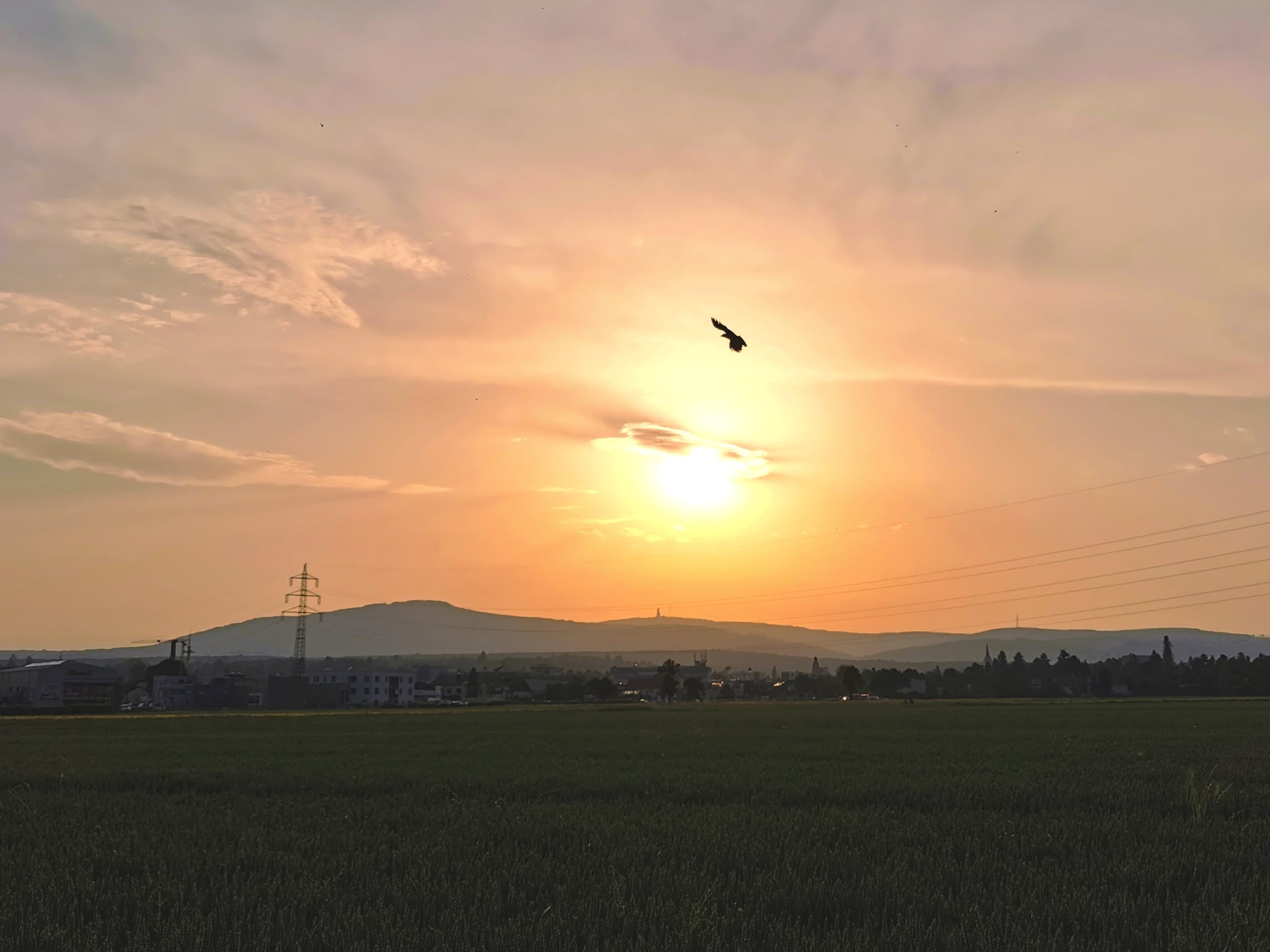 Picture in Oberursel