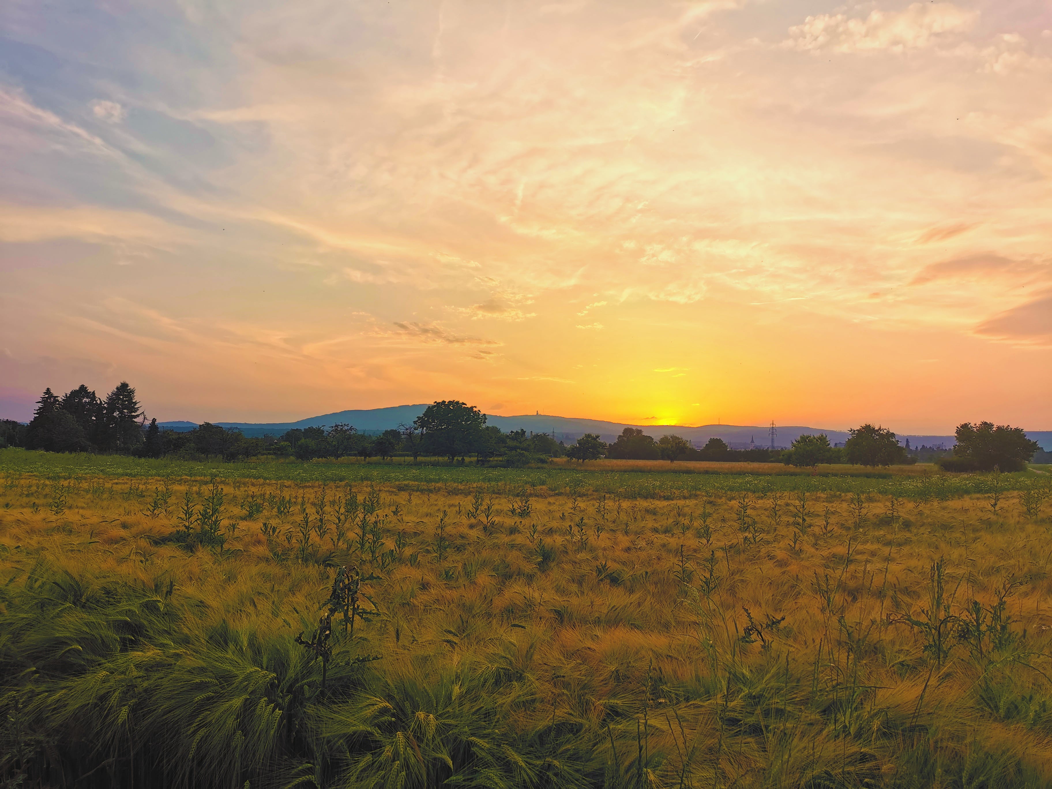 Picture in Oberursel