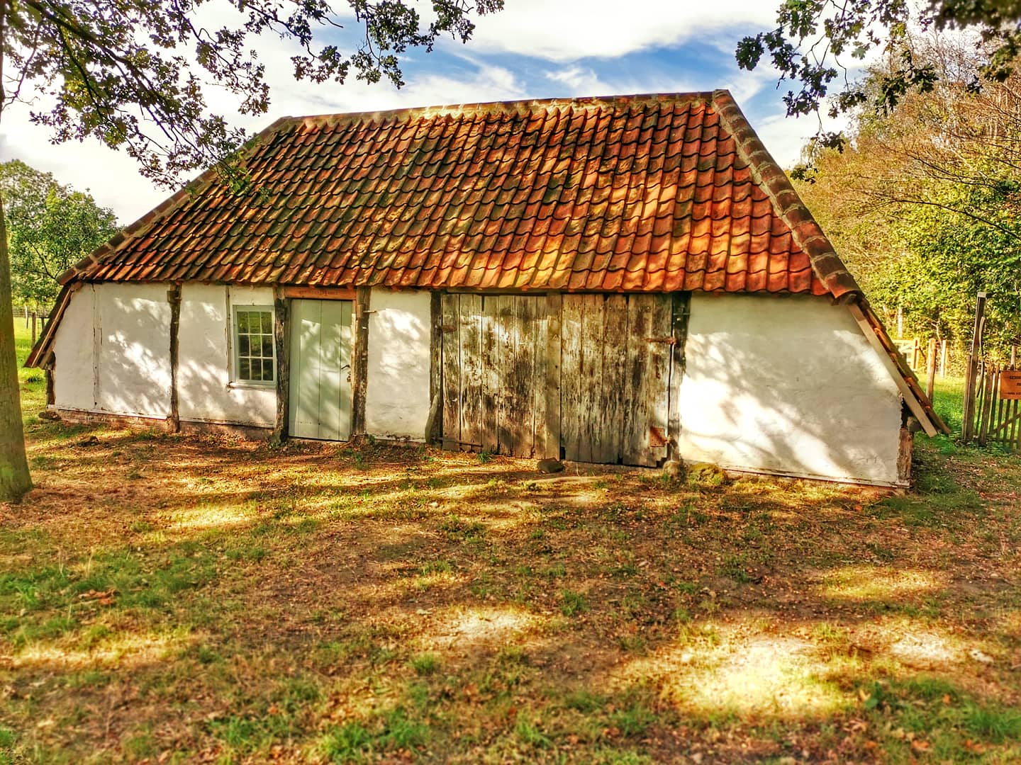 Picture in Turnhouts Moorgebiet