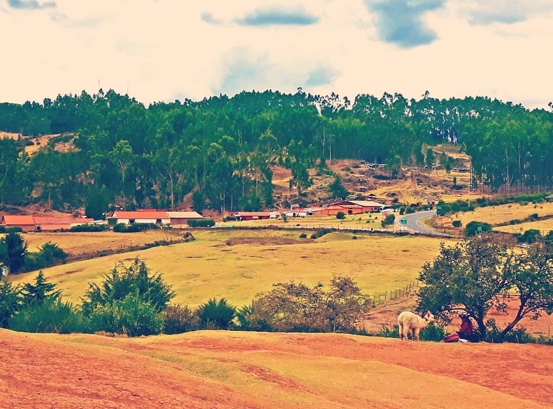 Picture in Sacsayhuaman