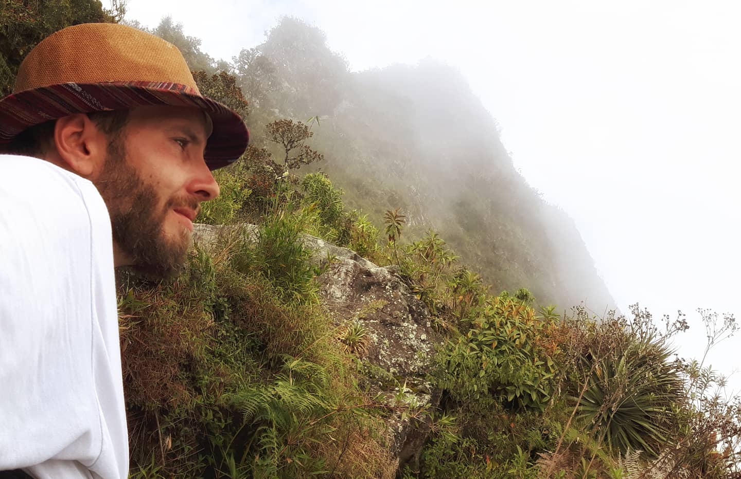 Picture in Machu Picchu