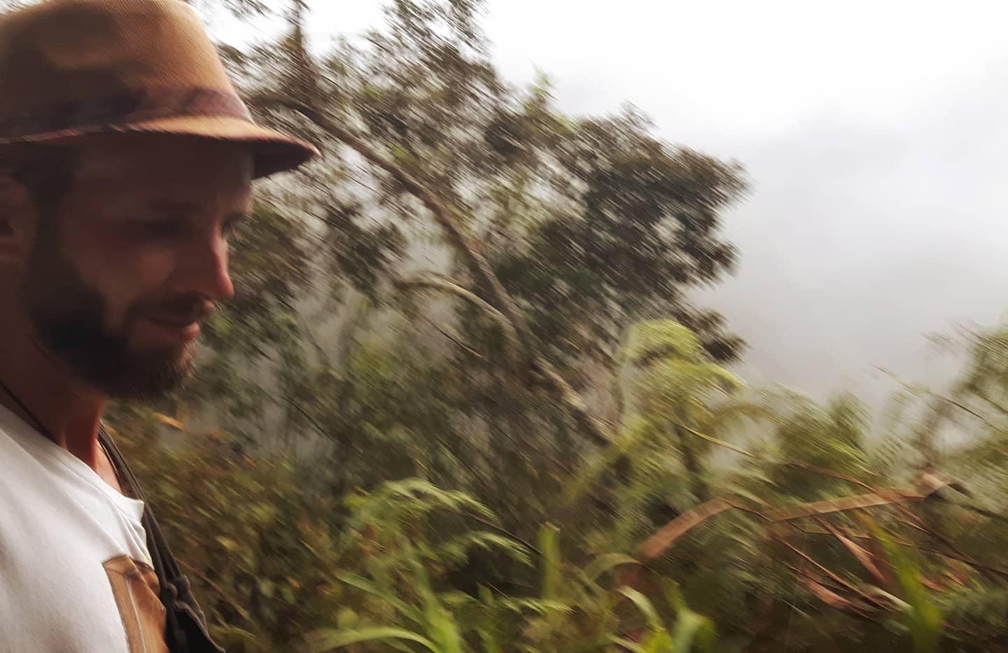 Picture in Machu Picchu
