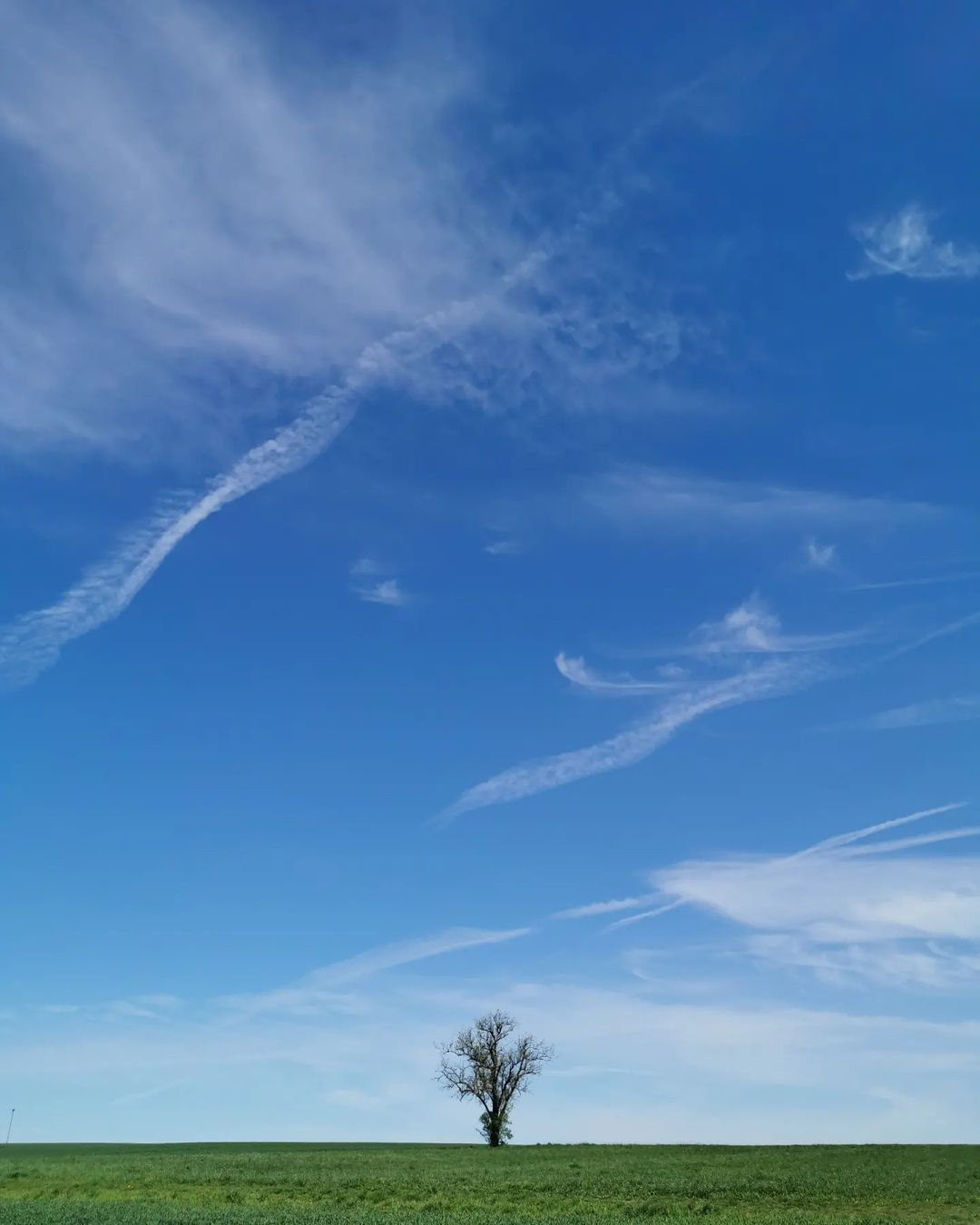 Picture in Bommersheimer Feld