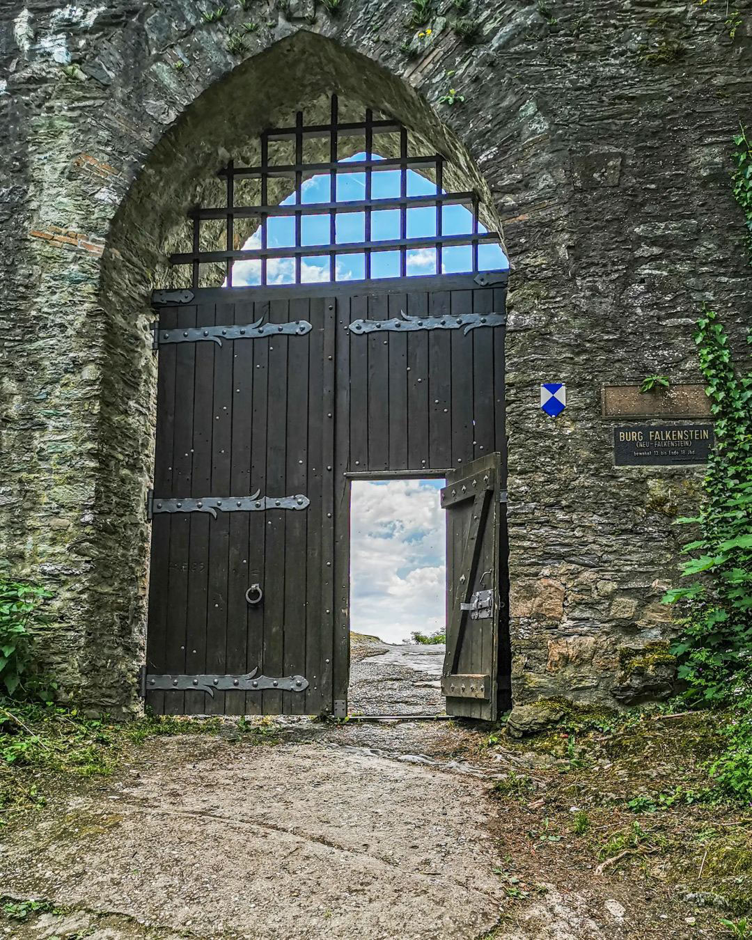 Picture in Burgruine Falkenstein