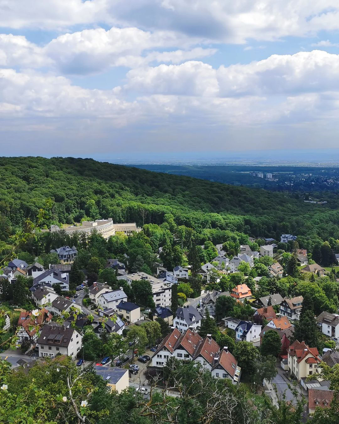 Picture in Burgruine Falkenstein