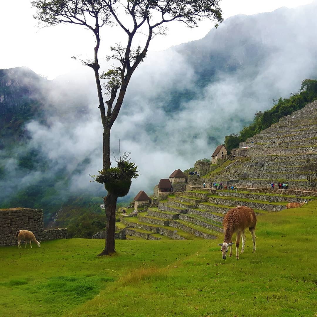 Picture in Berg Machu Picchu