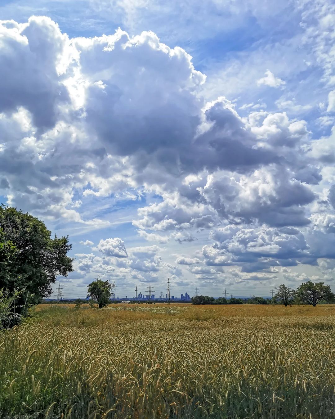 Picture in Bommersheim