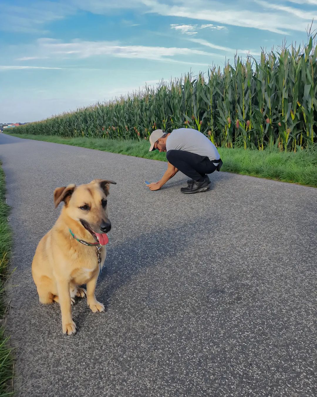 Picture in Bommersheim
