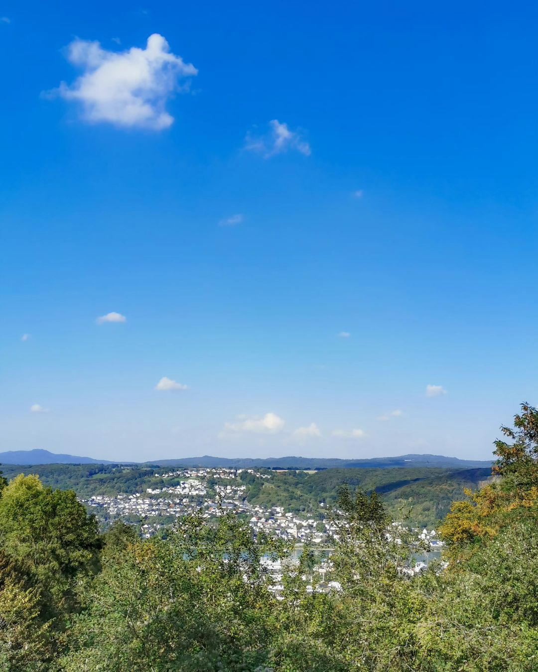 Picture in Bad Bodendorf