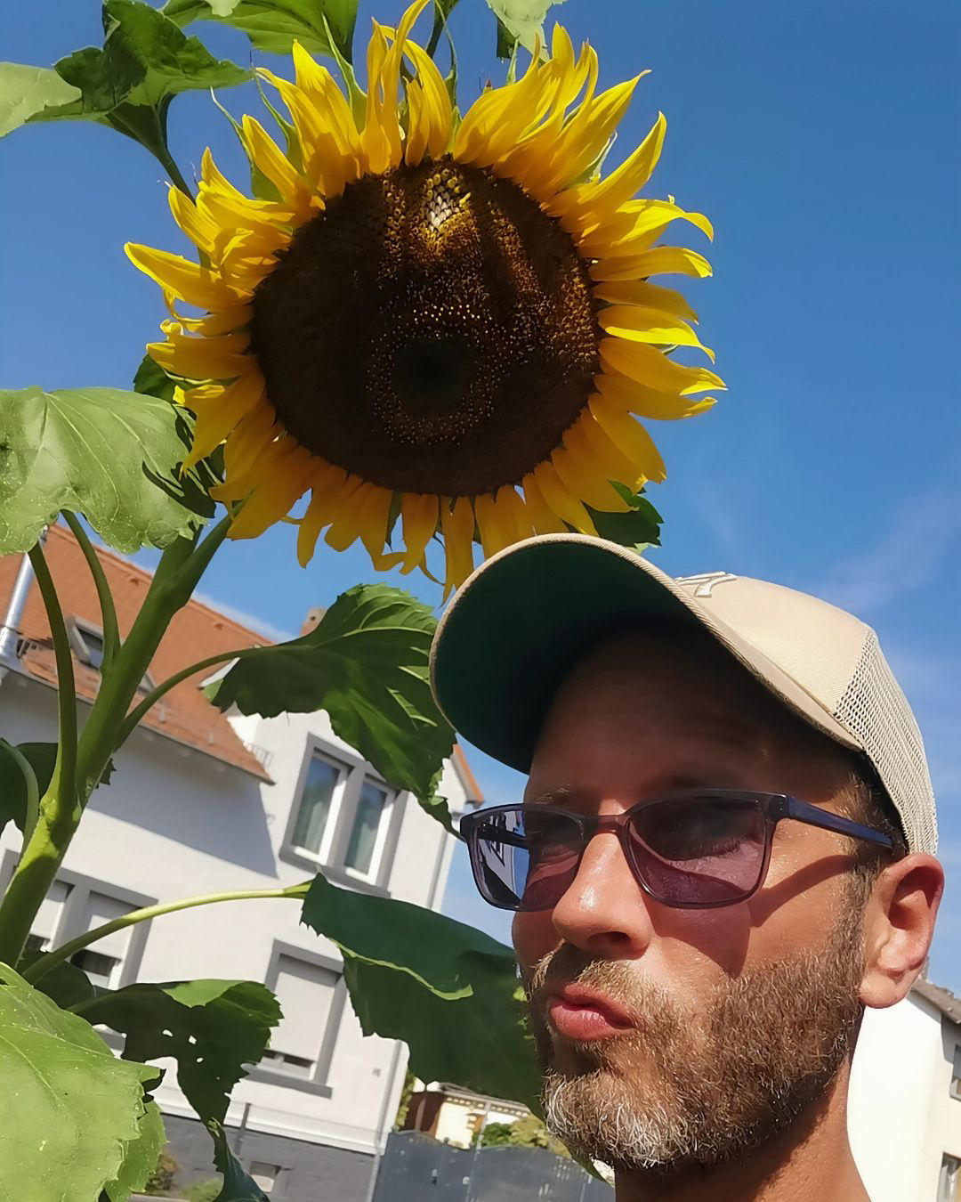 Picture in Bommersheim