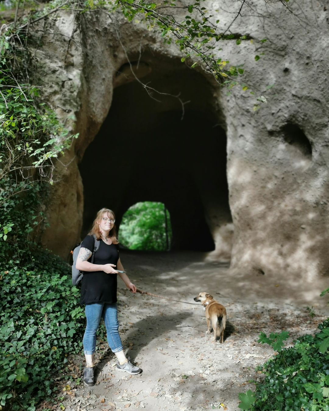 Picture in Trasshöhlen