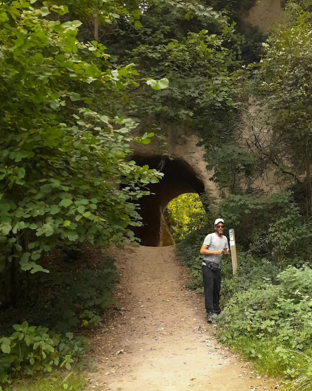 Picture in Trasshöhlen