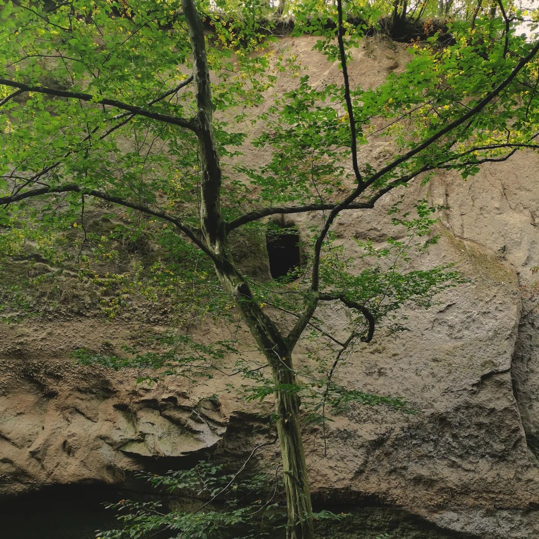 Picture in Traumpfad Höhlen- Und Schluchtensteig