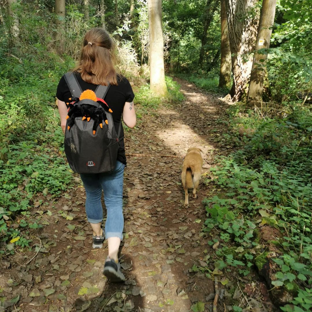Picture in Traumpfad Höhlen- Und Schluchtensteig