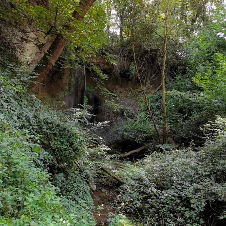 Picture in Traumpfad Höhlen- Und Schluchtensteig