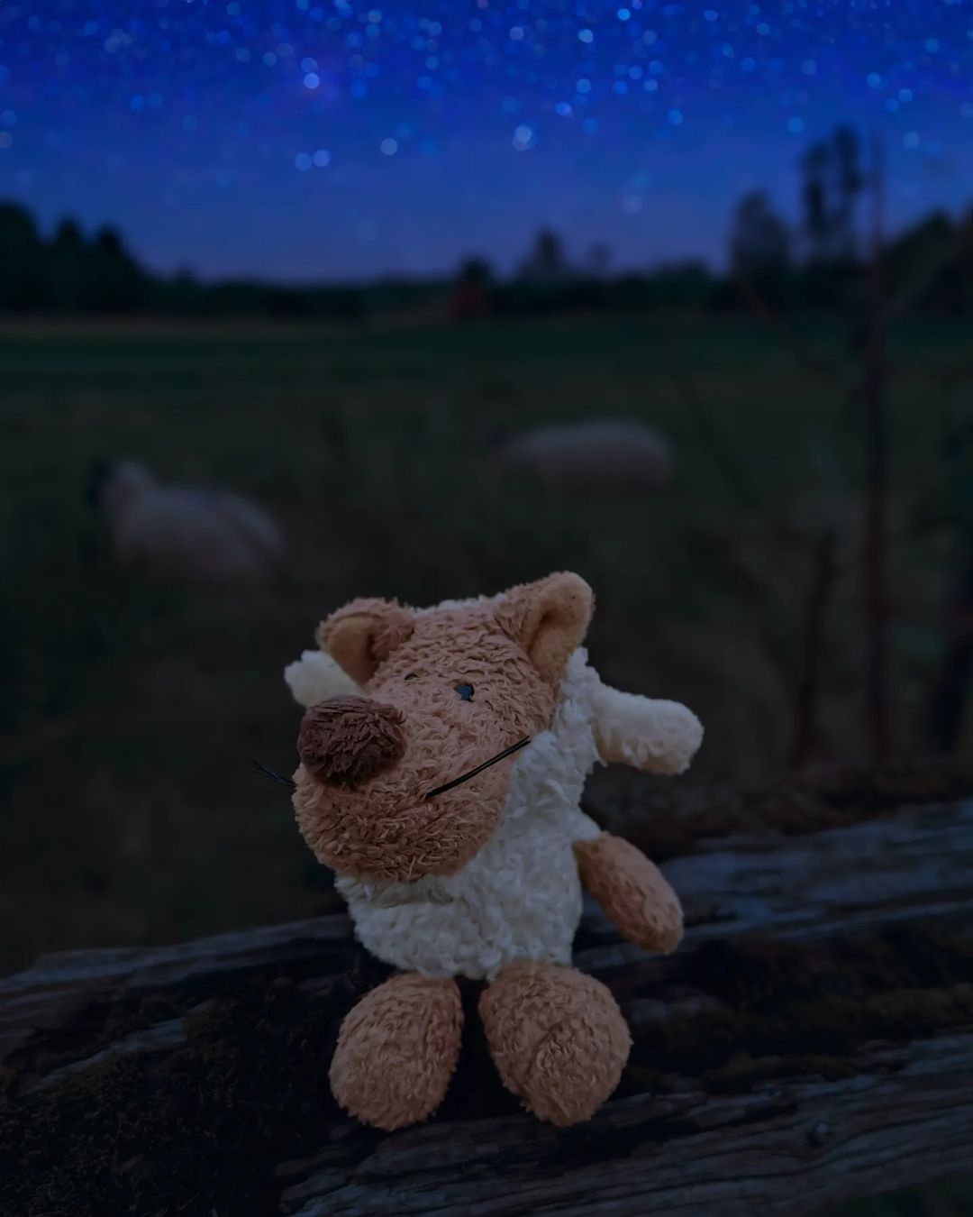 Picture in Oberursel