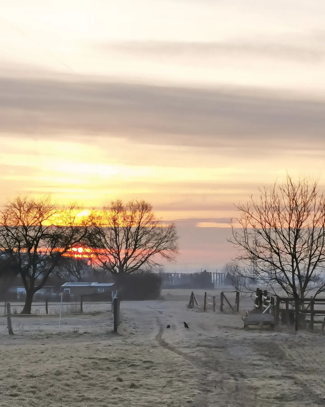 Picture in Bommersheim