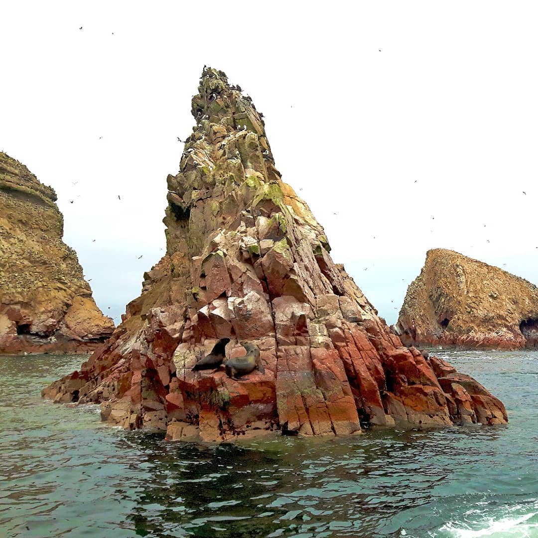 Picture in Nationalreservat Paracas