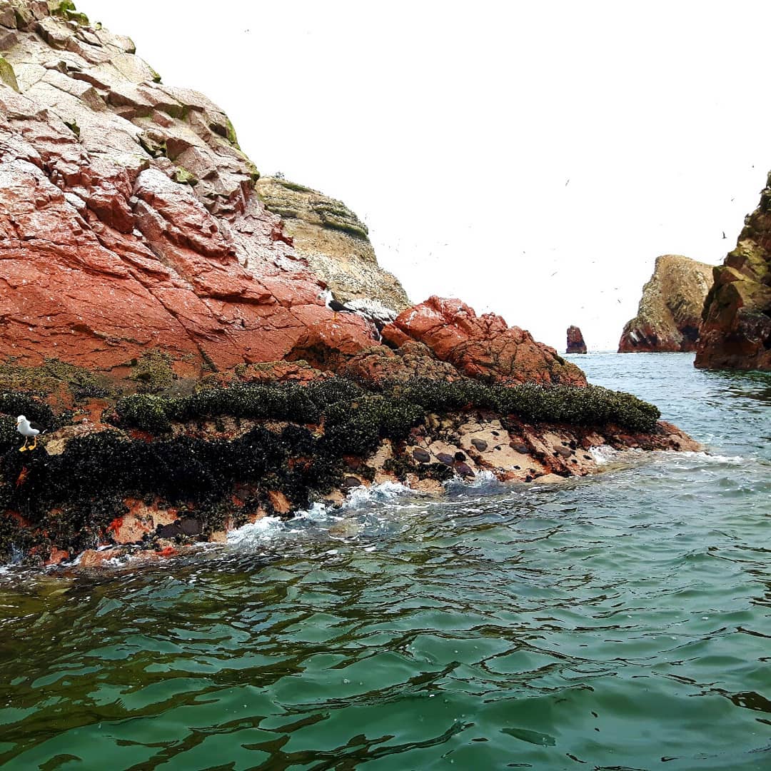 Picture in Nationalreservat Paracas