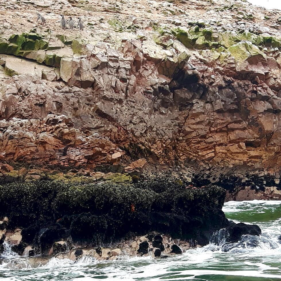 Picture in Nationalreservat Paracas
