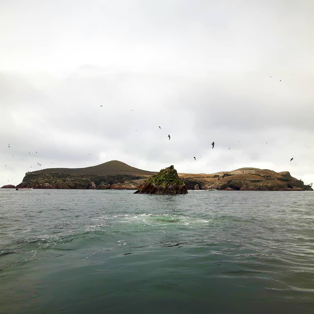 Picture in Nationalreservat Paracas