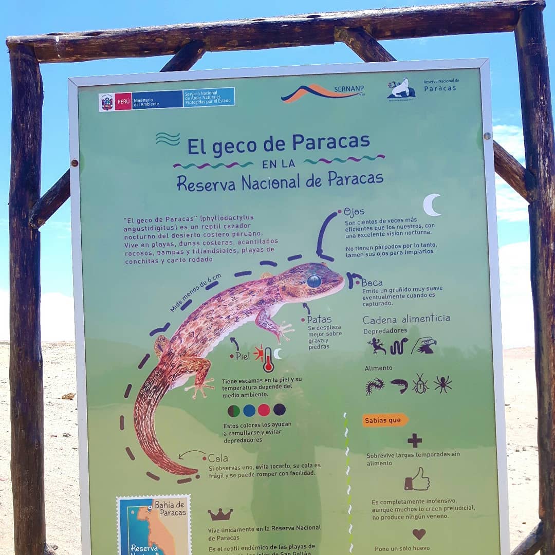Picture in Nationalreservat Paracas