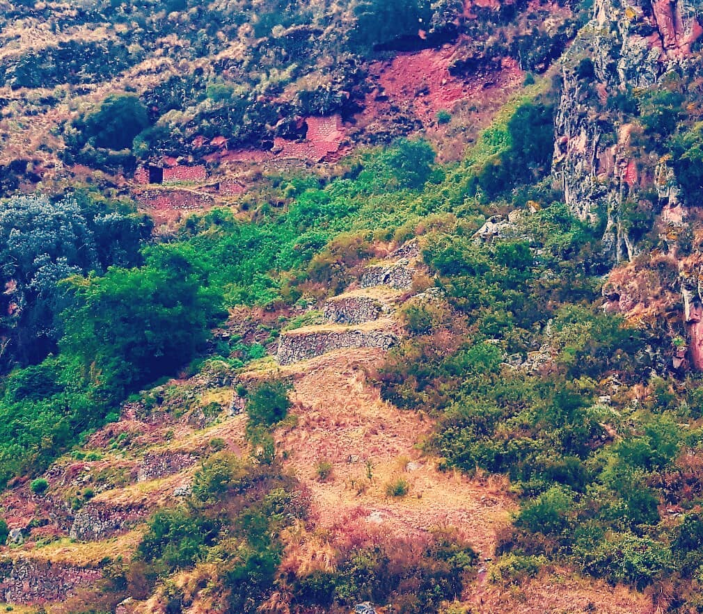Picture in Pisaq