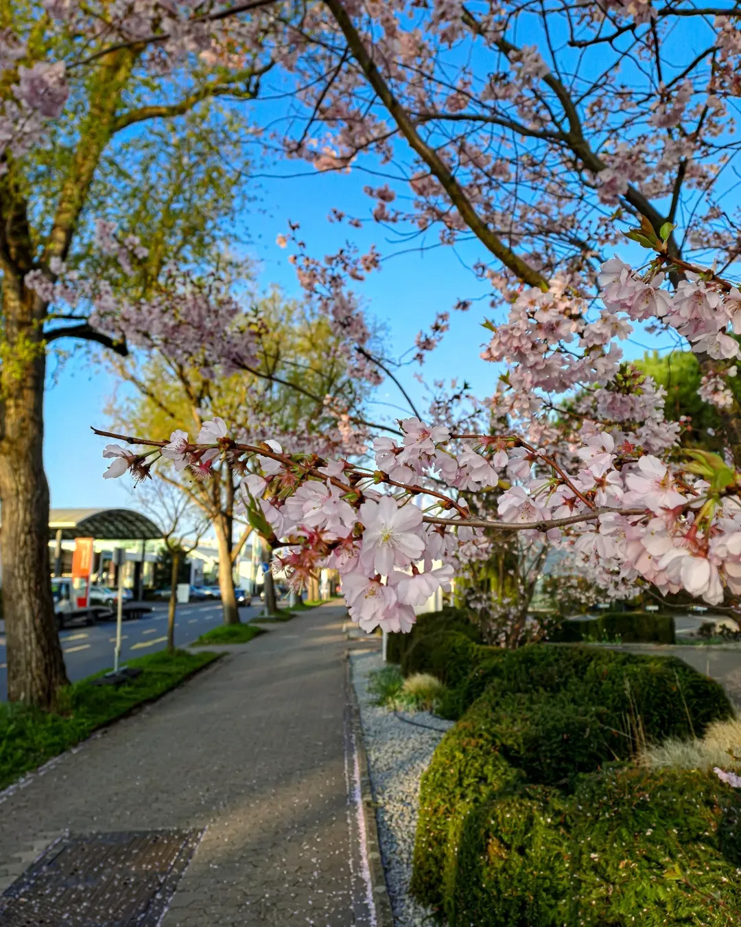 Picture in H31 Smart Campus