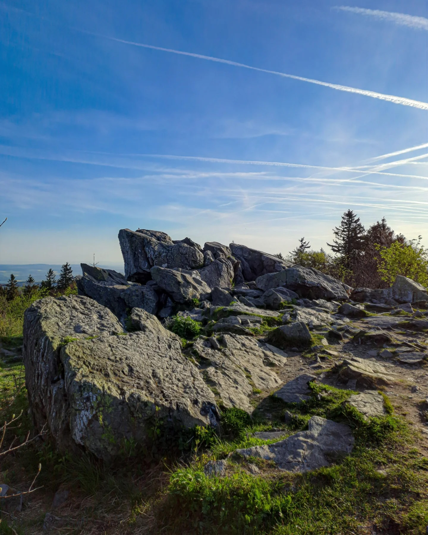 Picture in Großer Feldberg