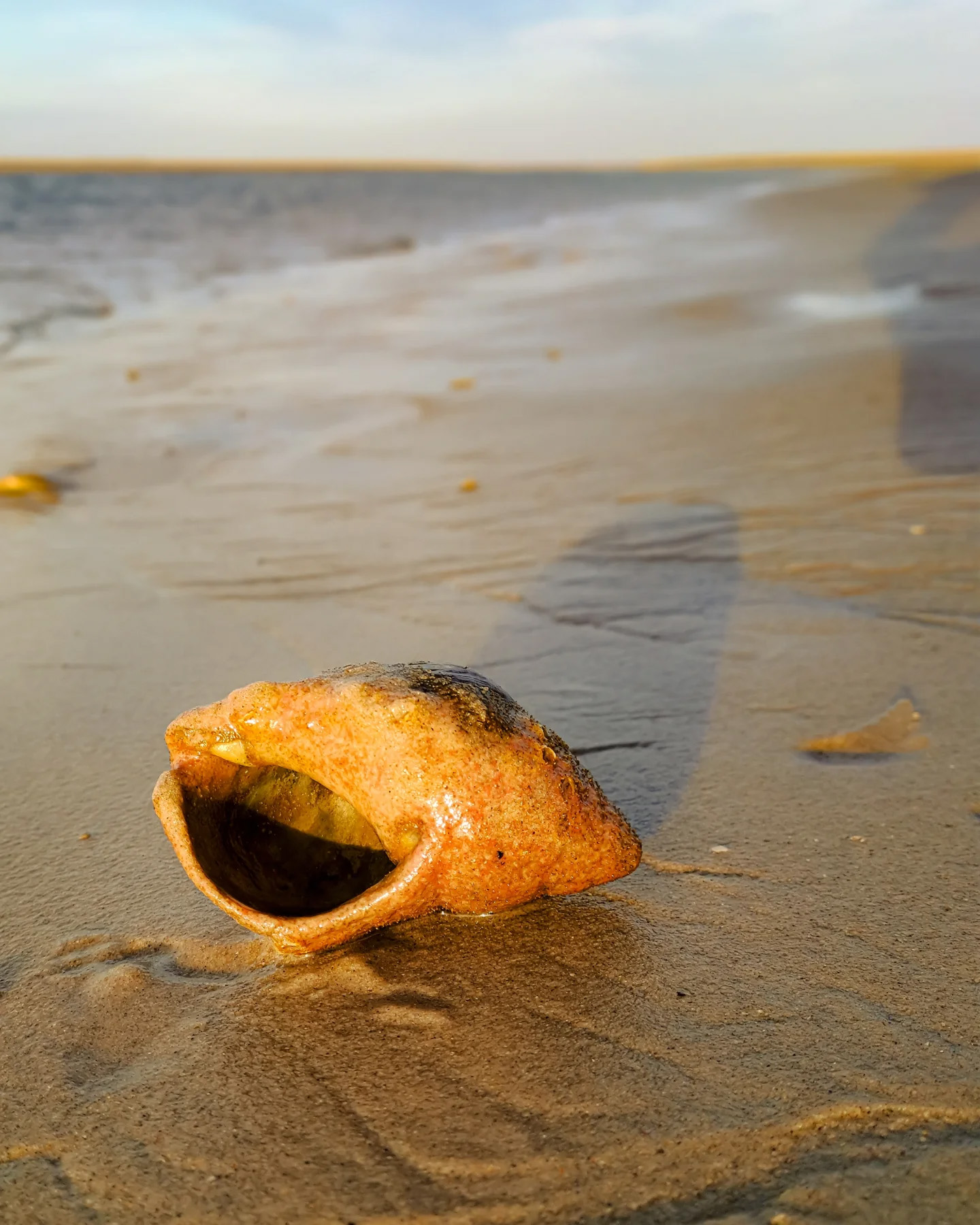 Picture in Baltrum
